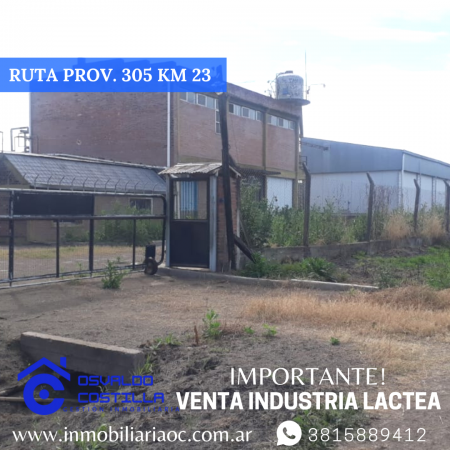 Venta de Industria Lactea ubicada en Timbo Nuevo - Ruta  Provincial  305 Km  23