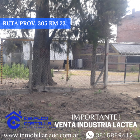 Venta de Industria Lactea ubicada en Timbo Nuevo - Ruta  Provincial  305 Km  23