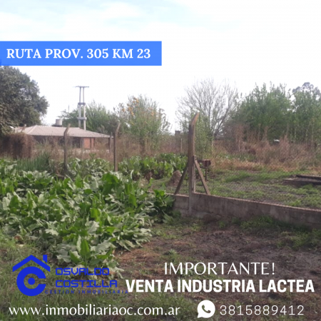 Venta de Industria Lactea ubicada en Timbo Nuevo - Ruta  Provincial  305 Km  23