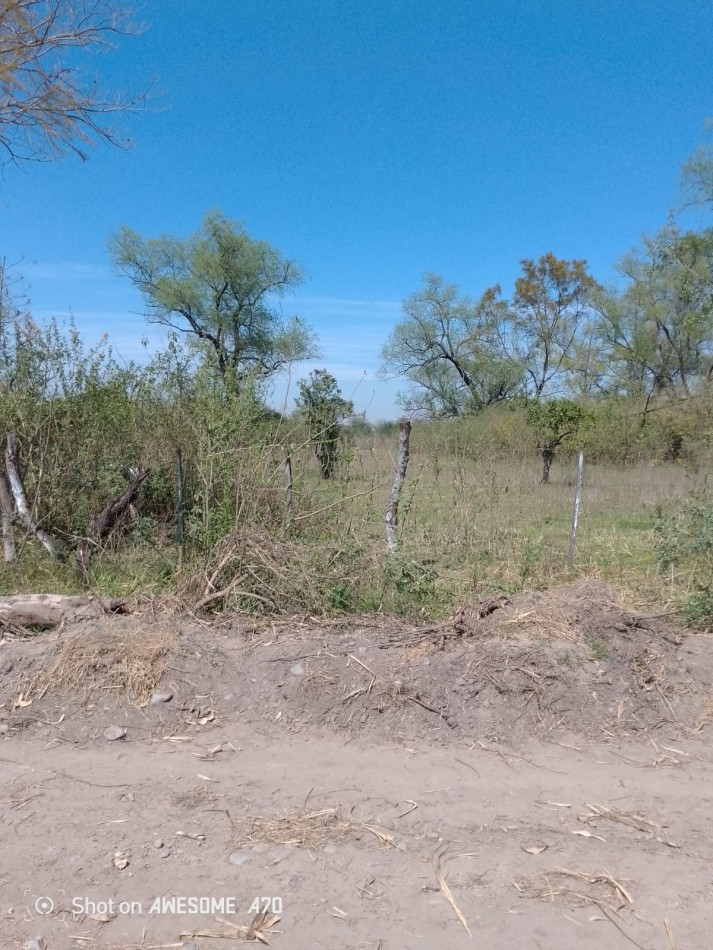 OPORTUNIDAD 4,5 HECTAREAS LULES, TUCUMAN