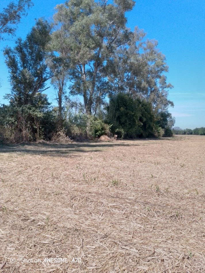 OPORTUNIDAD 4,5 HECTAREAS LULES, TUCUMAN
