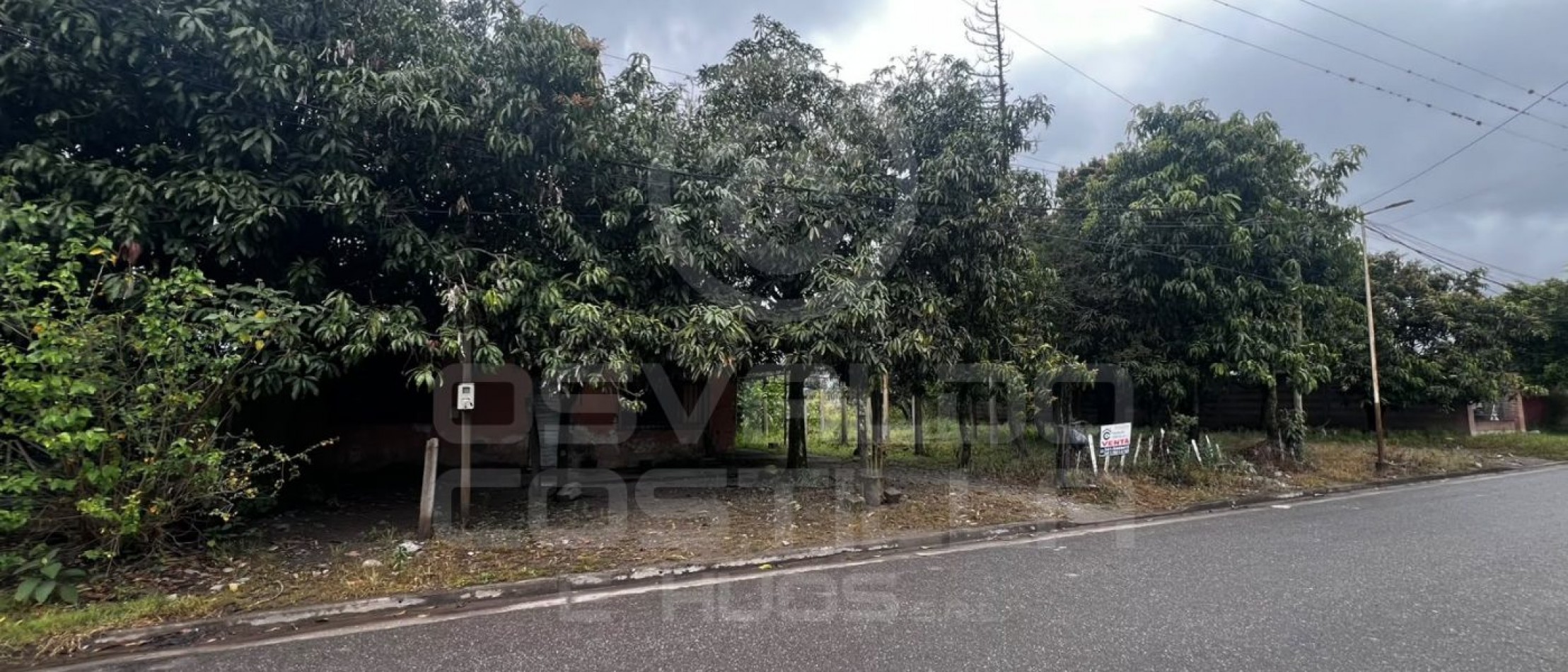 🌳 ¡OPORTUNIDAD UNICA EN CIUDAD DE LULES! 🌳