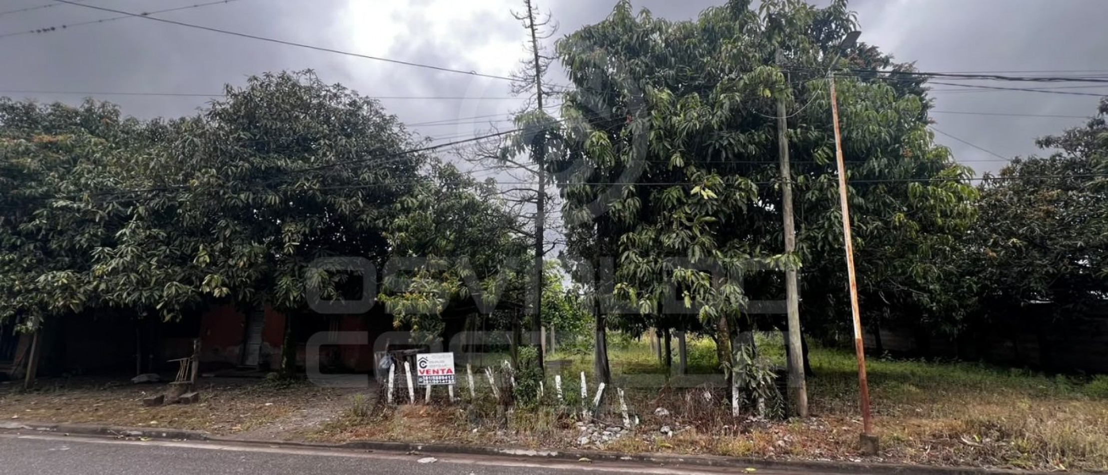 🌳 ¡OPORTUNIDAD UNICA EN CIUDAD DE LULES! 🌳