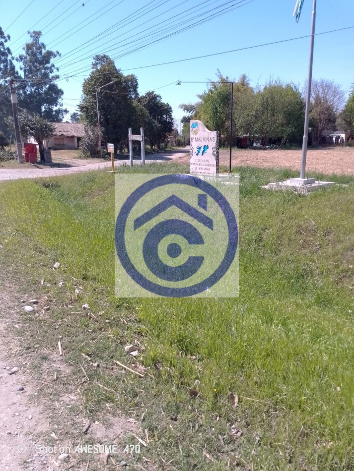 4,5 HECTAREAS 