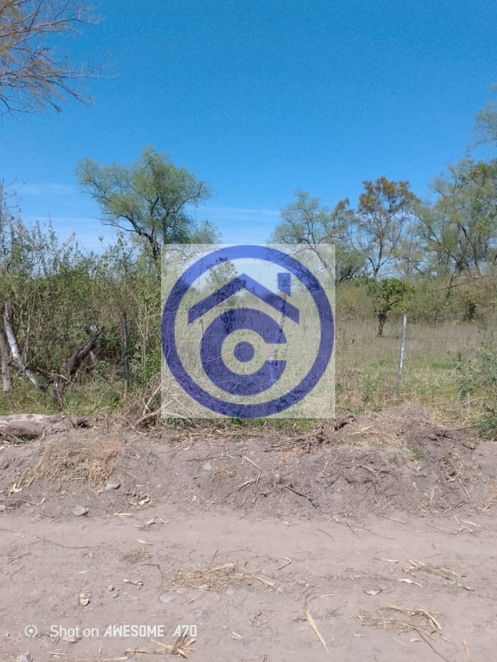 4,5 HECTAREAS 