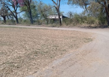 OPORTUNIDAD 4,5 HECTAREAS LULES, TUCUMAN